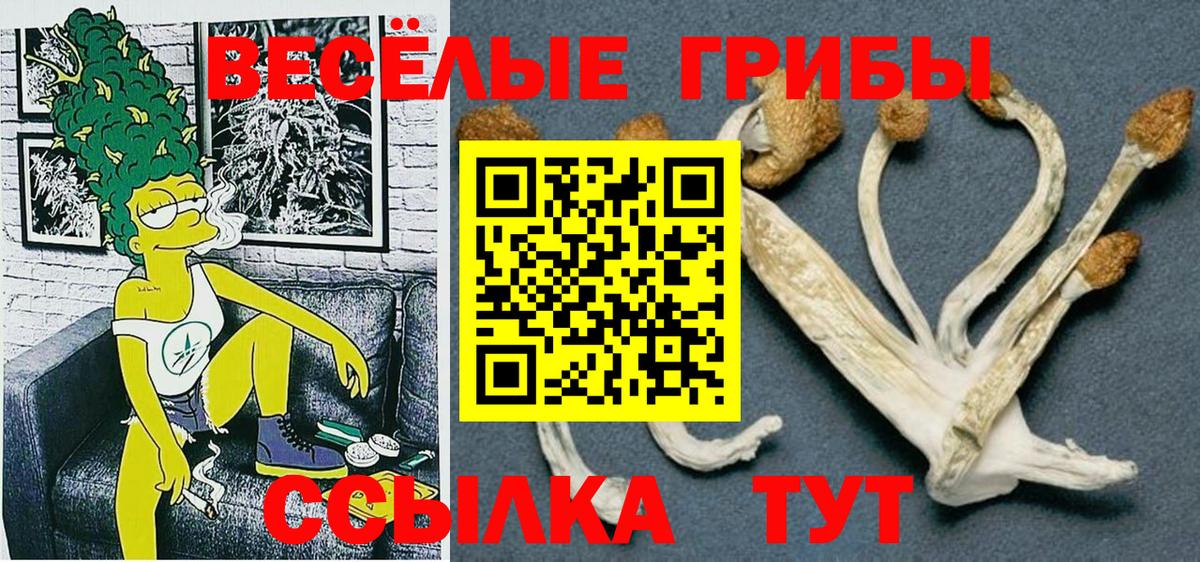 Псилоцибиновые грибы GOLDEN TEACHER  Псилоцибиновые грибы ЛСД  закладки  Вход с VPN  Шадринск 