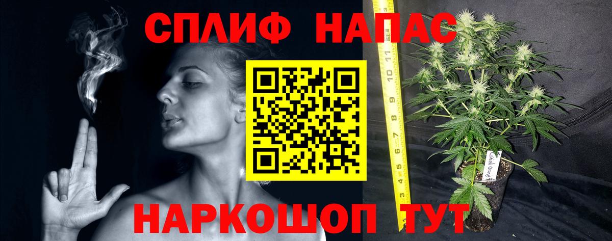 Шишки марихуана MAZAR Шадринск